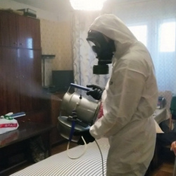 Дезинфекция от клопов в Климовске